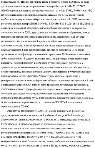 Способ избирательного получения растений с мужской или женской стерильностью (патент 2320722)
