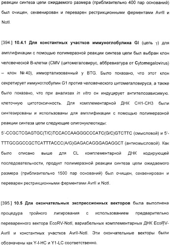 Специфические антитела человека для избирательной терапии рака (патент 2316564)