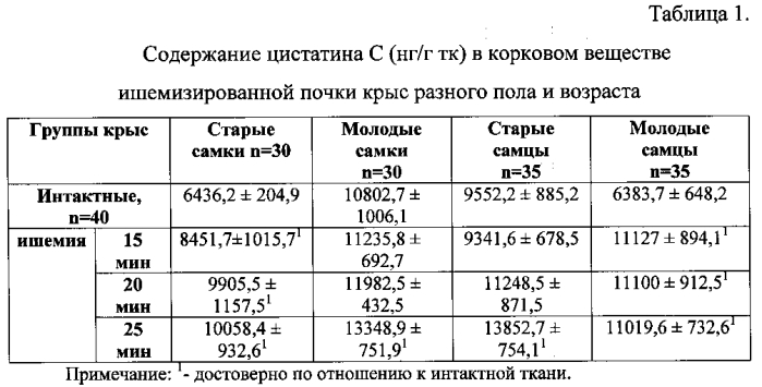 Способ прогнозирования развития острого повреждения почки в условиях тепловой ишемии в эксперименте в зависимости от возраста и пола животных (патент 2583950)