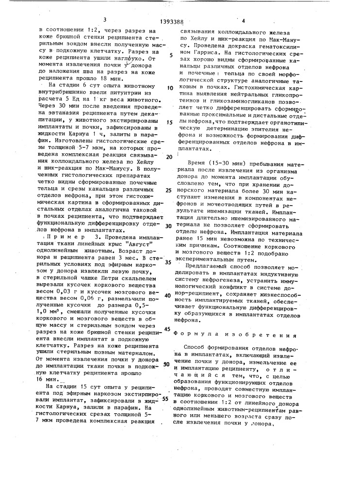 Способ формирования отделов нефрона в имплантатах (патент 1393388)