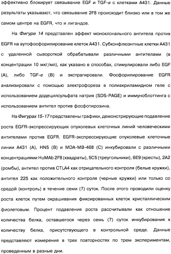 Человеческие моноклональные антитела к рецептору эпидермального фактора роста (egfr), способ их получения и их использование, гибридома, трансфектома, трансгенное животное, экспрессионный вектор (патент 2335507)