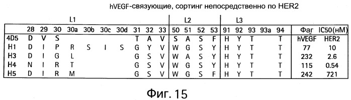Полиспецифические антитела (патент 2547596)