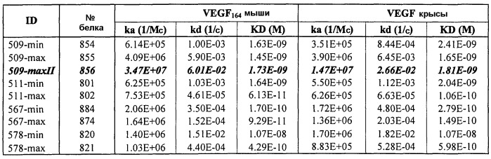 Стабильные и растворимые антитела, ингибирующие vegf (патент 2531523)