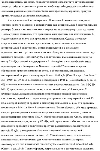 Модифицированные токсины cry3a и кодирующие их нуклеотидные последовательности (патент 2314345)