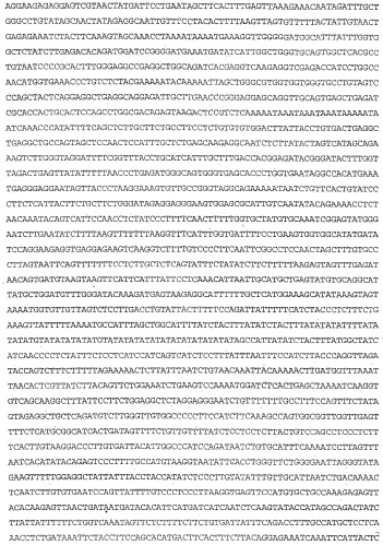 Применение s1p (патент 2362565)