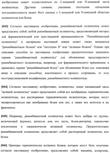 Набор последовательностей для таргетинга экспрессии и контроля посттрансляционных модификаций рекомбинантного полипептида (патент 2481399)