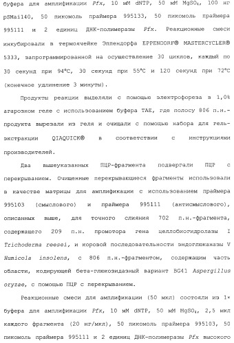 Клетка-хозяин trichoderma reesei для получения целлюлолитической белковой композиции, целлюлолитическая белковая композиция, способы ее получения и применения (патент 2494146)