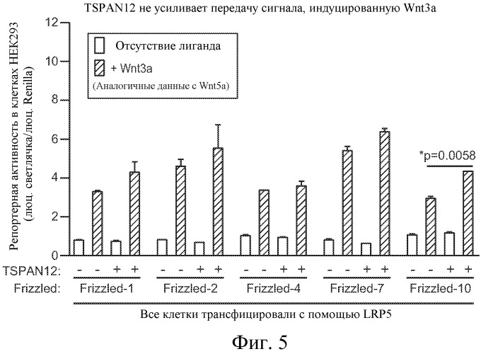 Способы ингибирования глазного ангиогенеза (патент 2530583)