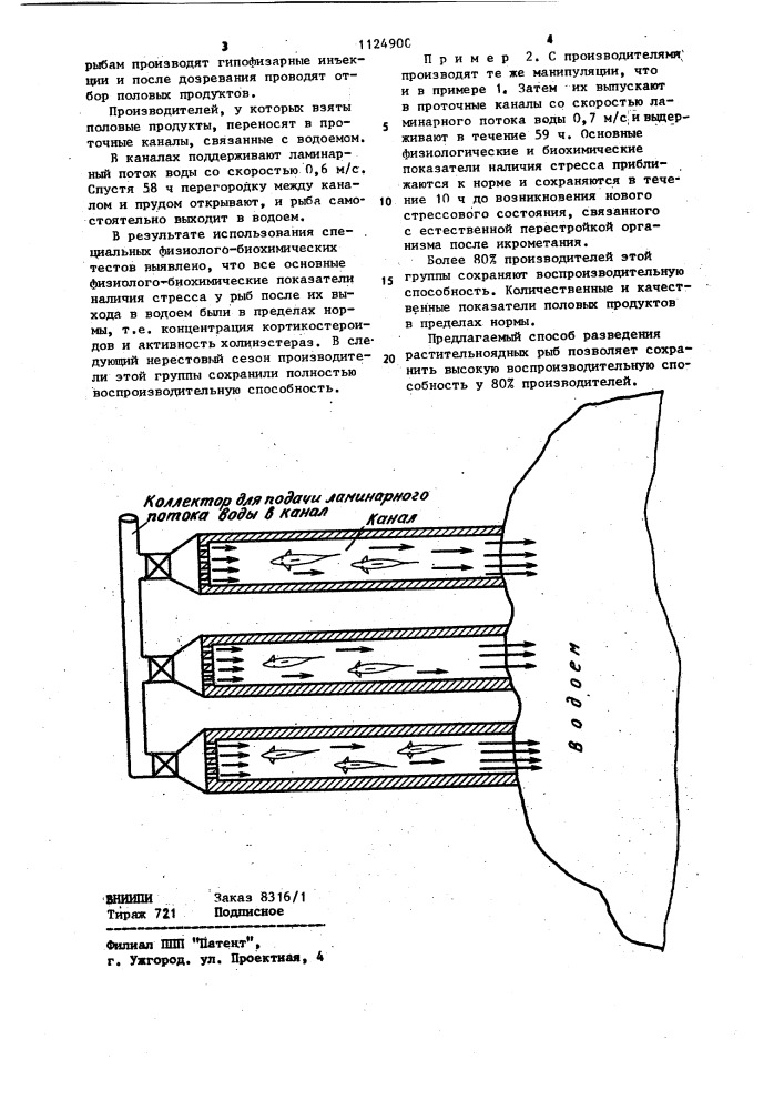 Способ разведения растительноядных рыб (патент 1124900)