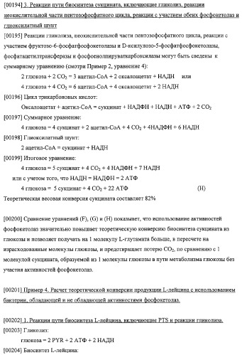 Использование фосфокетолазы для продукции полезных метаболитов (патент 2322496)