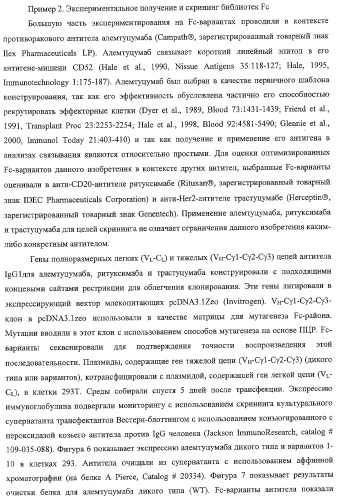 Антитело, содержащее fc-вариантную часть (варианты), фармацевтическая композиция, содержащая антитело, и способ лечения млекопитающего (патент 2325186)