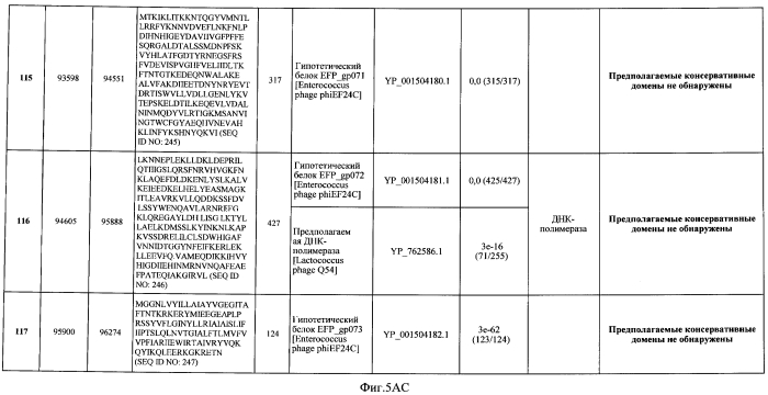 Бактериофаг, обладающий активностью против pseudomonas aeruginosa, белки бактериофага и способы их применения (патент 2580248)