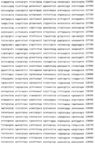 Применение s1p (патент 2362565)