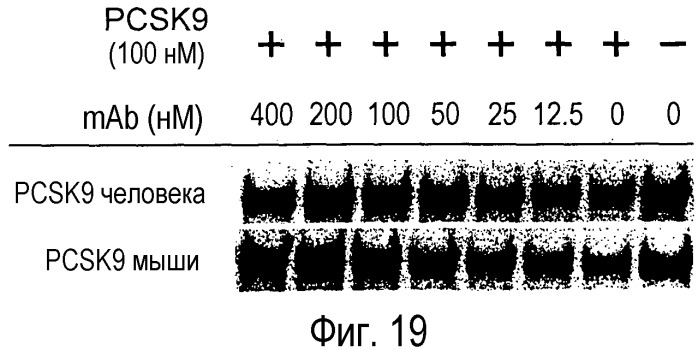 Антагонисты pcsk9 (патент 2528735)