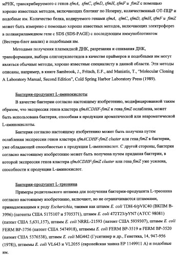 Способ получения l-треонина с использованием бактерии, принадлежащей к роду escherichia, в которой инактивирован кластер генов sfmacdfh-fimz или ген fimz (патент 2333953)