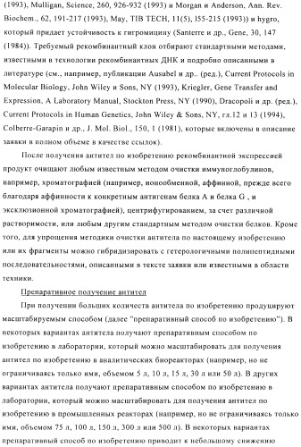 Стабилизированные антитела против ангиопоэтина-2 и их применение (патент 2509085)