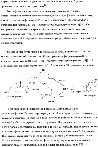 Стероидные соединения в качестве ингибиторов стероидсульфатазы (патент 2428427)