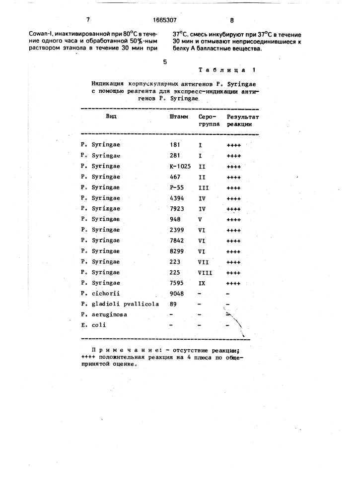 Способ получения реагента для диагностики фитопатогенных бактерий рsеudомоnаs syringae 1 - 9 серогрупп (патент 1665307)