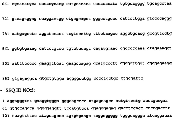 Полинуклеотид, модулирующий пролиферацию раковых клеток (варианты), полипептид, моноклональное антитело, вектор экспрессии, клетка-хозяин, лекарственное средство для лечения пролиферативного заболевания, фармацевтическая композиция, применение полипептида для получения лекарственного средства (патент 2307666)