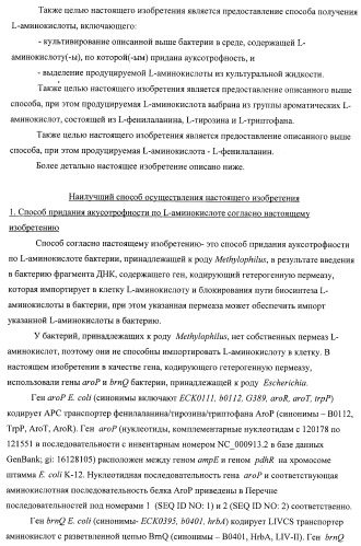 Способ придания бактерии, принадлежащей к роду methylophilus, ауксотрофности по l-аминокислоте, бактерия, принадлежащая к роду methylophilus, и способ продукции l-аминокислоты (патент 2395569)