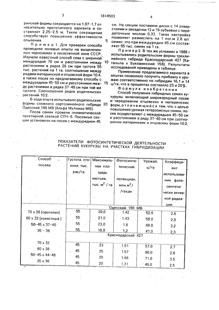 Способ получения гибридных семян кукурузы (патент 1814503)