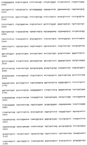 Антитела к рецептору конечных продуктов глубокого гликирования (rage) и их применения (патент 2518351)