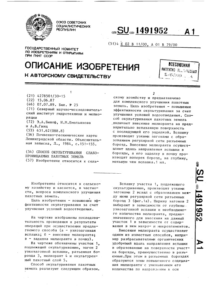 Способ окультуривания слабопроницаемых пахотных земель (патент 1491952)