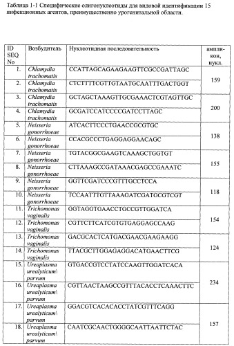 Дифференцирующий и специфический олигонуклеотиды для идентификации последовательностей днк инфекционных агентов в биологических материалах, способ видовой идентификации инфекционных агентов, биочип и набор для осуществления этого способа (патент 2348695)