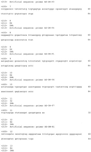 Плазмида для экспрессии в клетках бактерии, принадлежащей к роду escherichia, неактивного предшественника днказы i человека или ее мутеинов, бактерия, принадлежащая к роду escherichia, - продуцент неактивного предшественника рекомбинантной днказы i человека или ее мутеина, предшественник рекомбинантной днказы i человека или ее мутеина, способ получения рекомбинантной днказы i человека или ее мутеина, способ получения конъюгатов полиэтиленгликоля и рекомбинантного мутеина днказы i человека, ферментативно активный конъюгат мутеина рекомбинантной днказы i человека (патент 2502803)