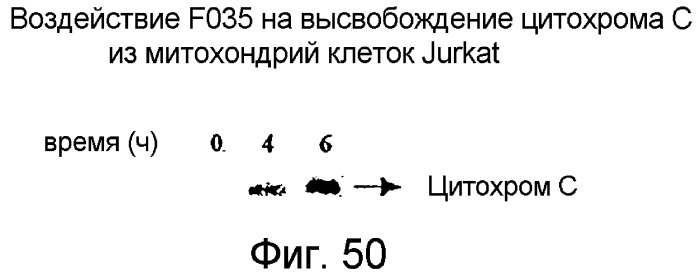 Ингибирование nf- b композициями тритерпенов (патент 2288706)
