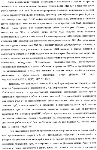 Способ конструирования оперонов, содержащих трансляционно сопряженные гены (патент 2411292)