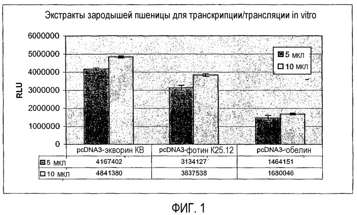 Фотобелок с повышенной биолюминесценцией (патент 2340629)