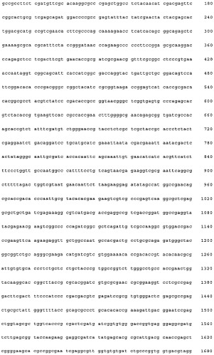 Нитрилгидратаза из rhodococcus (патент 2385932)