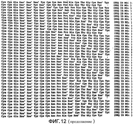 Полипептид для увеличения активности рецептора гуанилатциклазы, фармацевтическая композиция, способ лечения желудочно-кишечного расстройства у пациента, способ повышения активности рецептора гуанилатциклазы у пациента, способ лечения висцеральной боли, способ получения полипептида (варианты), изолированная молекула нуклеиновой кислоты, бактериальный вектор экспрессии и изолированная бактериальная клетка (патент 2433133)