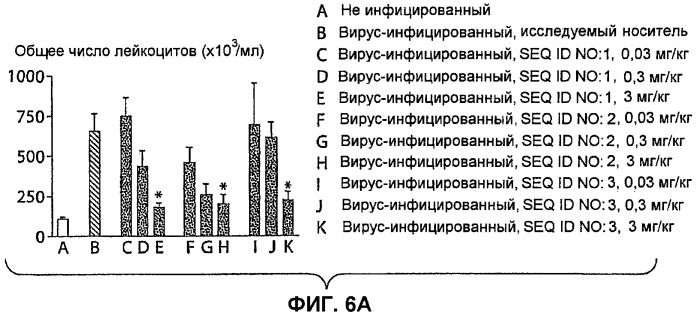 Полумягкие иммуностимулирующие олигонуклеотиды с-класса (патент 2393223)