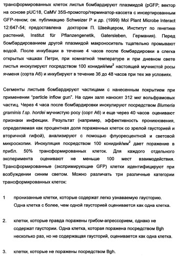 Новые последовательности нуклеиновых кислот и их применение в способах достижения устойчивости к патогенам в растениях (патент 2346985)