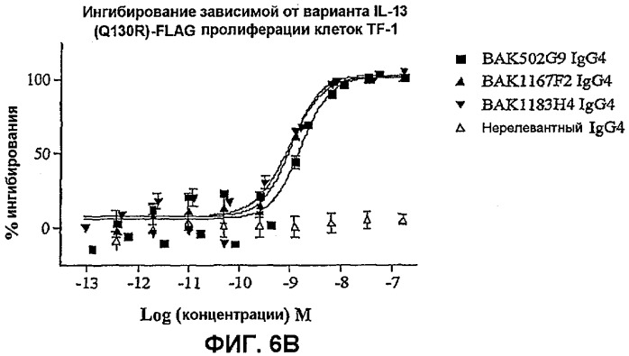 Молекулы антител человека к il-13 (патент 2387667)