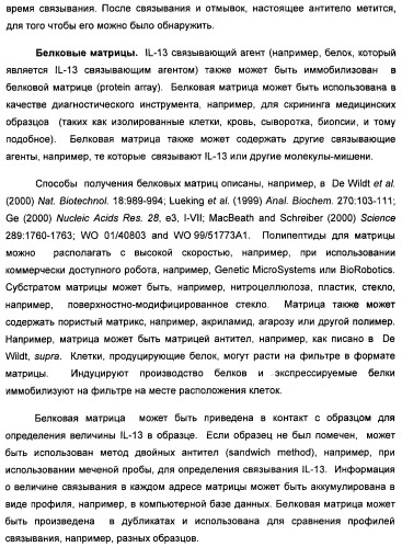 Il-13 связывающие агенты (патент 2434881)