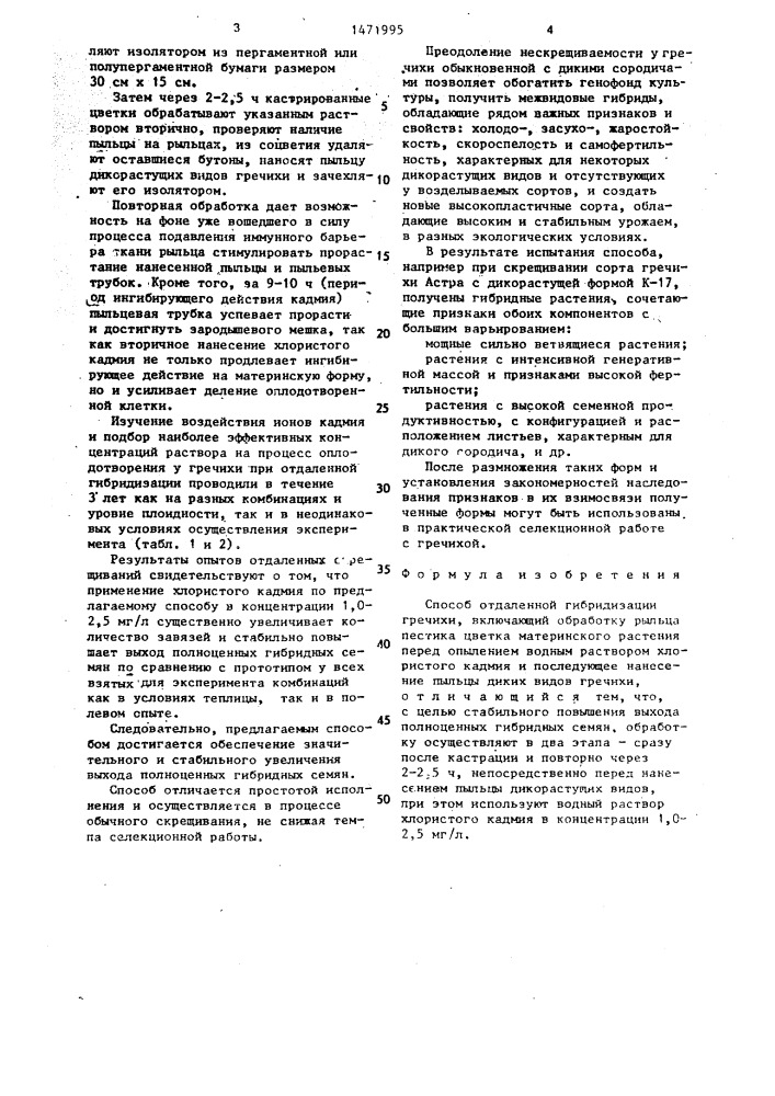 Способ отдаленной гибридизации гречихи (патент 1471995)