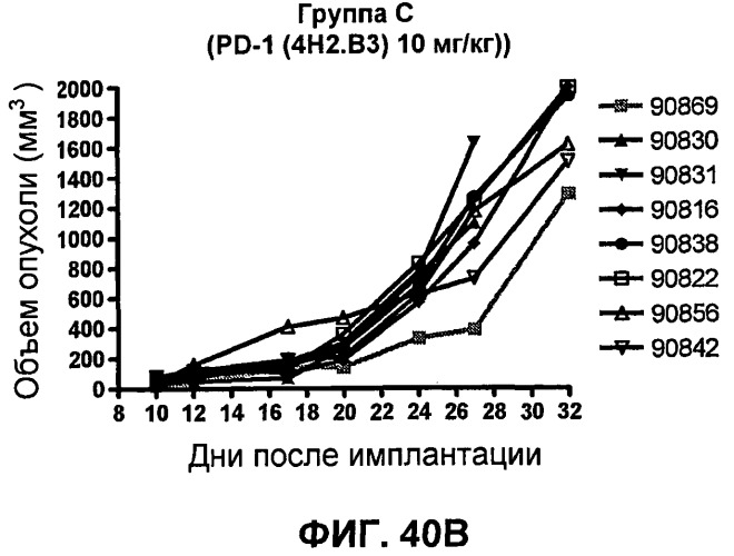 Моноклональные антитела человека к белку программируемой смерти 1 (pd-1) и способы лечения рака с использованием анти-pd-1-антител самостоятельно или в комбинации с другими иммунотерапевтическими средствами (патент 2494107)
