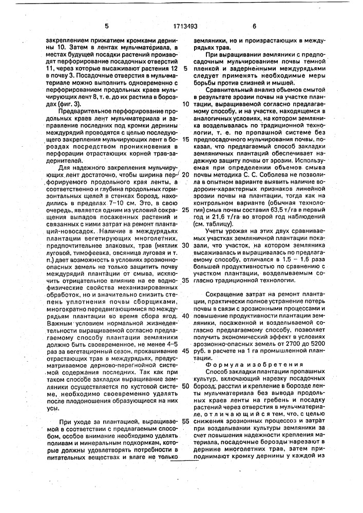 Способ закладки плантации пропашных культур (патент 1713493)