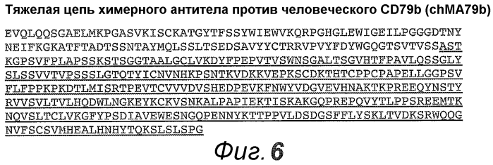 Анти-cd79b антитела и иммуноконъюгаты и способы их применения (патент 2553566)