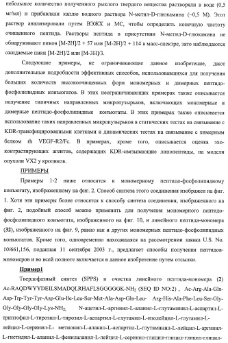 Конъюгаты фосфолипидов и направляющих векторных молекул (патент 2433137)