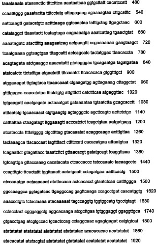 Днк, повышающая продуцирование белка, и ее применение (патент 2375450)