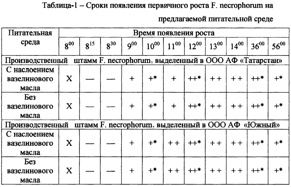 Способ получения питательной среды для транспортировки патологического материала, содержащего возбудитель некробактериоза животных (патент 2640251)