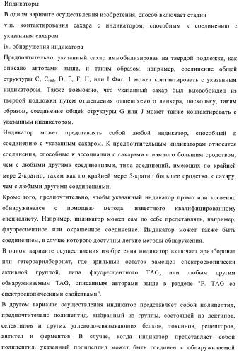 Твердофазное тегирование олигосахаридов: методика для манипуляции с иммобилизированными углеводами (патент 2398237)