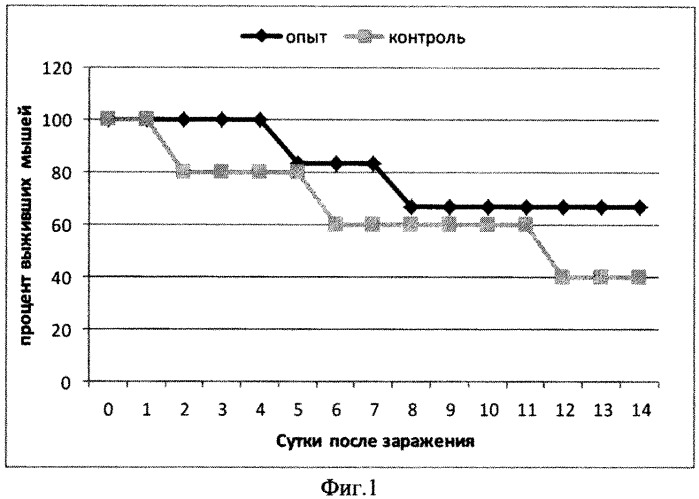 Вакцина для профилактики и лечения ротавирусной инфекции, содержащая гибридный белок в качестве активного агента (варианты) (патент 2539913)