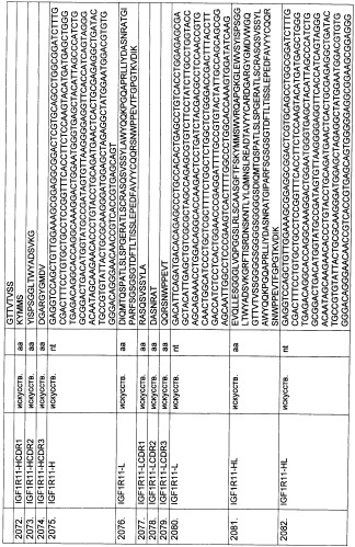 Pscaxcd3, cd19xcd3, c-metxcd3, эндосиалинxcd3, epcamxcd3, igf-1rxcd3 или fap-альфаxcd3 биспецифическое одноцепочечное антитело с межвидовой специфичностью (патент 2547600)