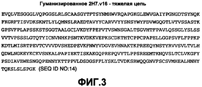 Способ лечения рассеянного склероза (патент 2384345)