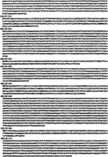 Иммунизация против chlamydia trachomatis (патент 2331435)